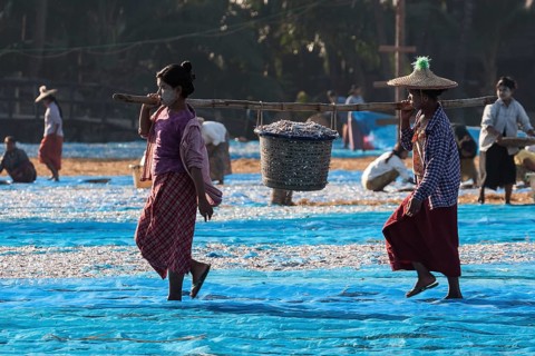 Local women carrying a basket full of fish with a bamboo pole