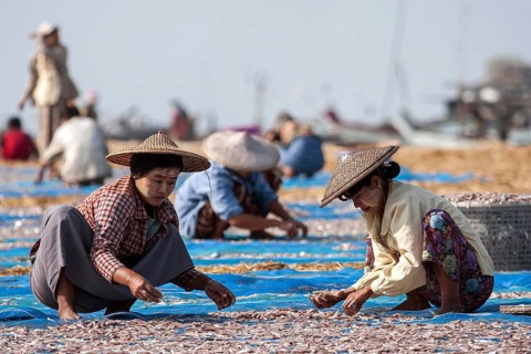 Local women wearing straw hats and Thanaka paste on their faces
