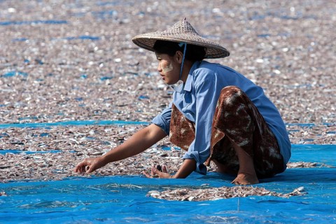 Local woman wearing straw hat and Thanaka paste on her face