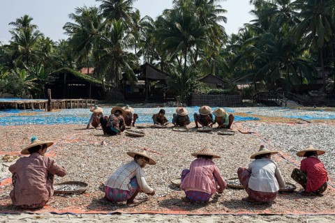 Local women wearing straw hats