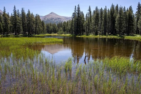 Small lake at the Tioga Road