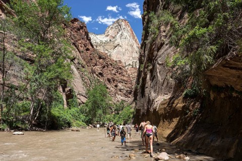 North Fork Virgin River