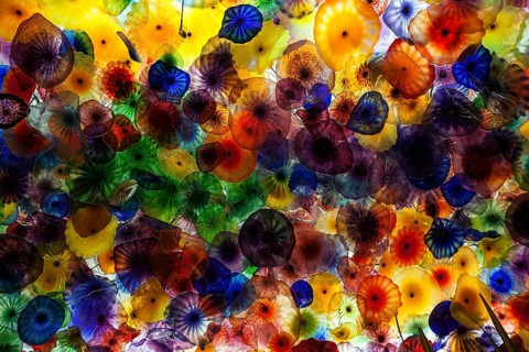 Colourful hand blown glass flowers