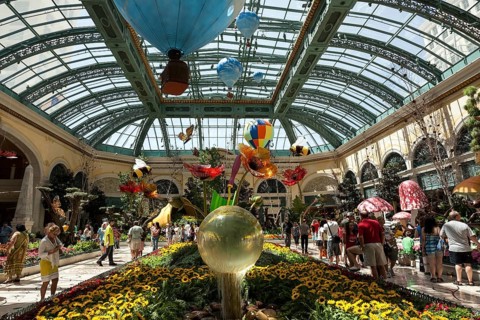 Botanical garden conservatory
