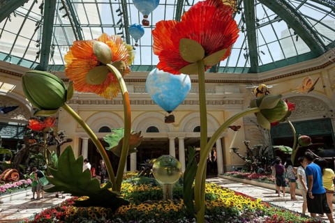 Exhibits in botanical garden conservatory