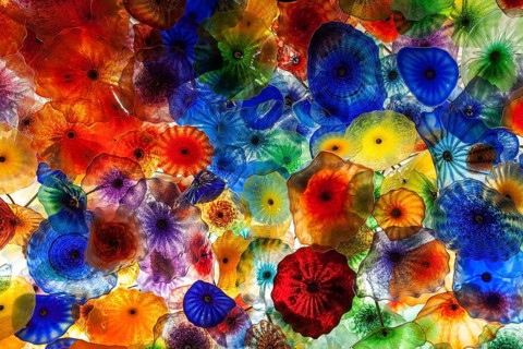 Colourful hand blown glass flowers