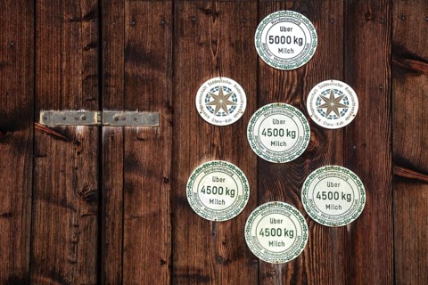 Plaques for the milk yield of cows
