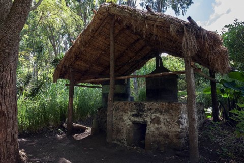 Old historic distillery in the botanical garden Jardin de Mascarin