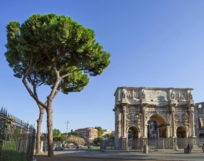 Pine tree and Arch of Constantine