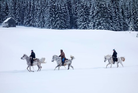 Horse-riders in a winter landscape