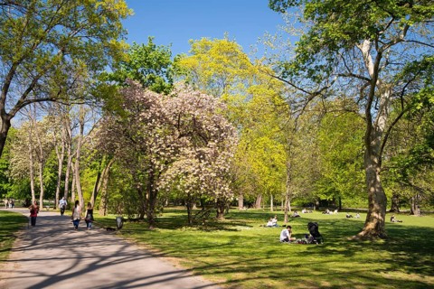Park on Margaret Island