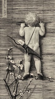 Curious Cupid