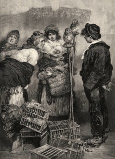 Bird market in Paris