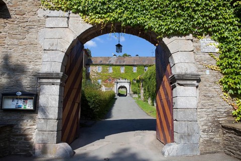 Burg Schnellenberg
