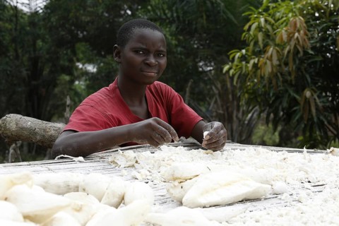 Woman spreading cassava out to dry