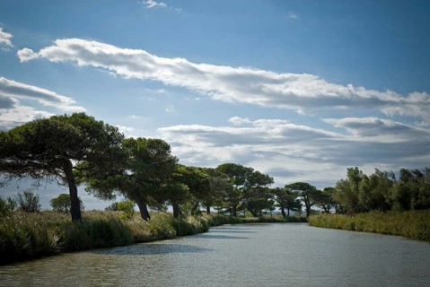 Riverscape