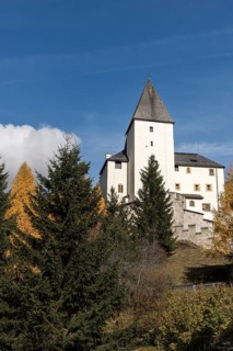 Burg Mauterndorf
