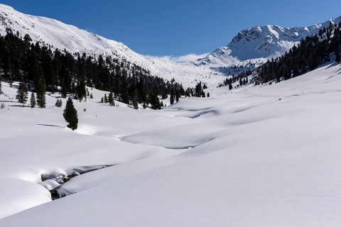 Winter landscape with a small stream