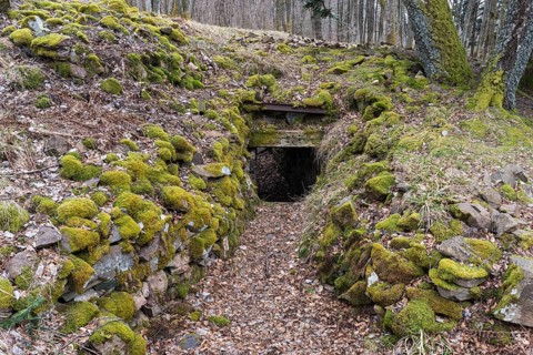 Trench, Wattwiller