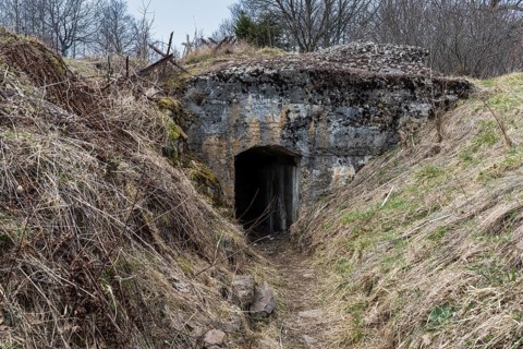 Trenches and bunker, Wattwiller