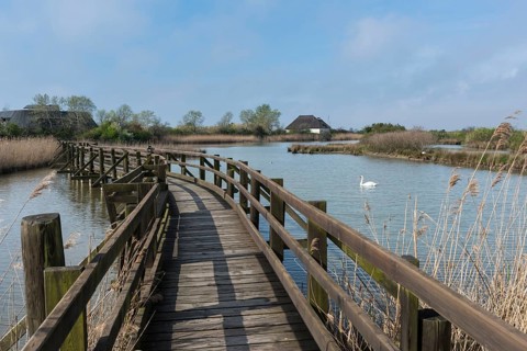 Visitor path