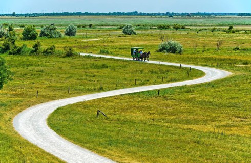 Ride in a horse-drawn carriage through the National Park Lake Neusiedl