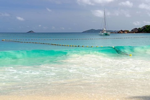 Shark net