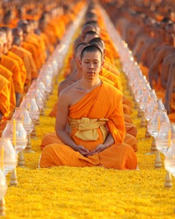 Monks sitting in a row meditating