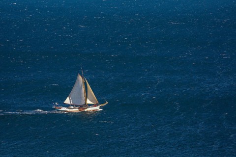 Sailing boat on windy sea