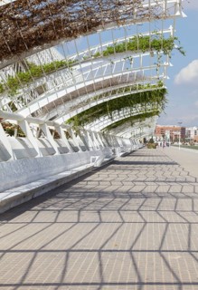 The City of Arts and Sciences