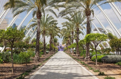 The City of Arts and Sciences