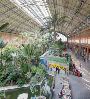 TropicalÂ greenhouseÂ at Atocha trainÂ station