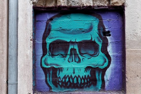 Skull