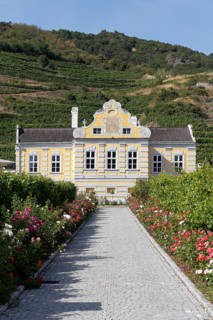 Baroque Cellar Palace
