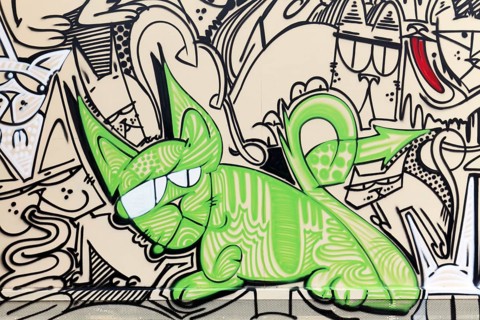 Green cat with grumpy face