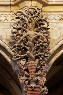 Tree of the knowledge of good and evil with snake 16th century
