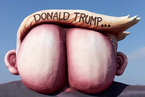Presidential candidate Donald Trump as an ass with quiff