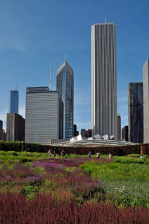 Flower carpet in center of Chicago