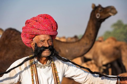 Portrait of an elderly Rajasthani man with a long beard wearing a turban
