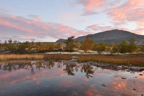 Red sky reflected in a small lake in the morning