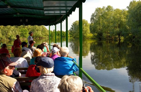 Tourists in an excursion boat on the river in wetland