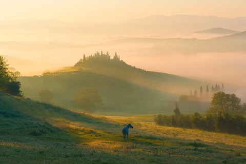 Podere Belvedere farmhouse