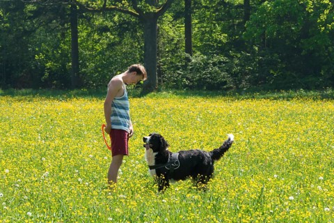 Young man playing frisbee with dog in meadow