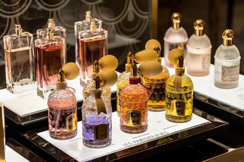 Perfume bottles on display for sale