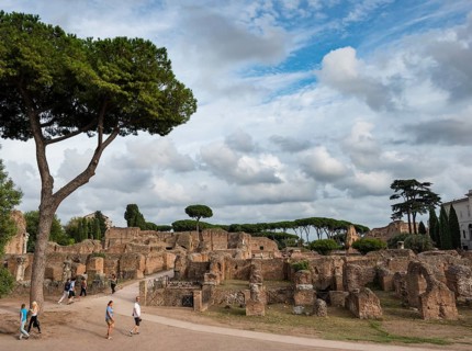 Remains of the Domus Augustana