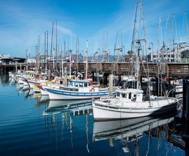 Trawler in the harbor