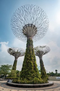 Supertrees