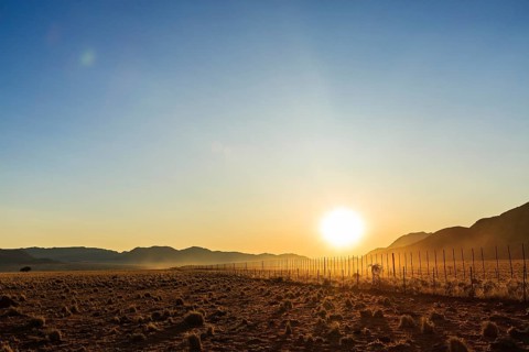 Farmland with fence at sunset