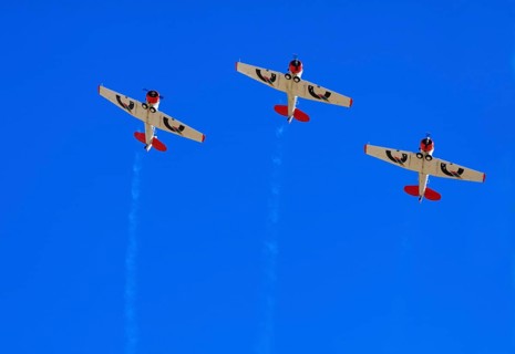 Aerobatic Team Flying Lions