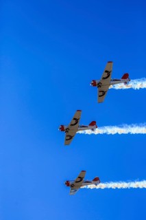Aerobatic Team Flying Lions